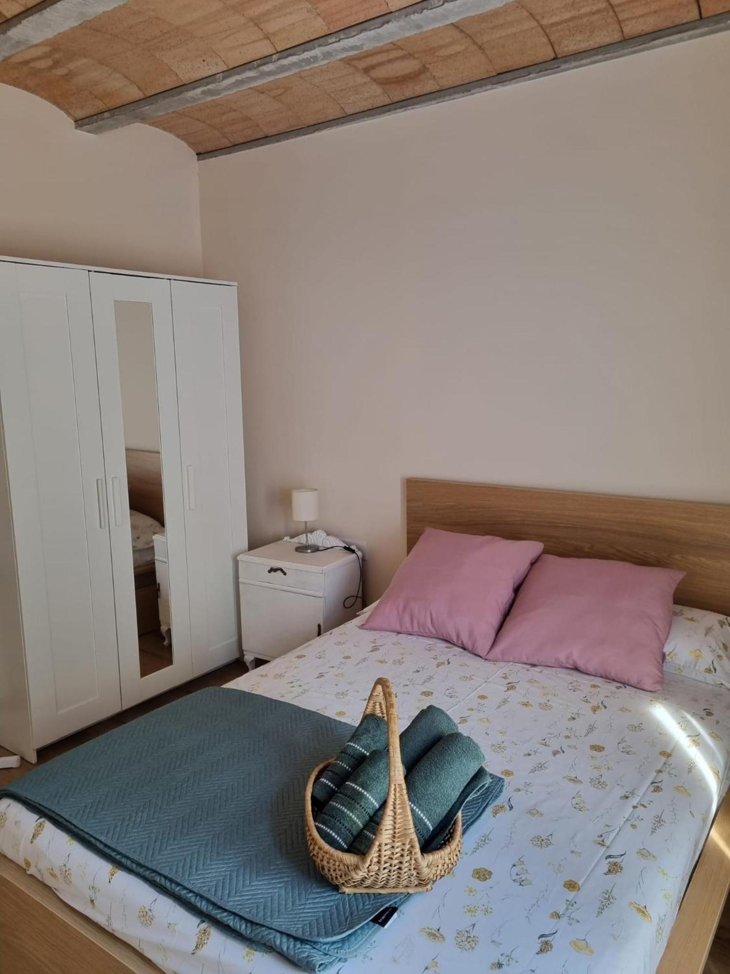 El Niu Dels Ocells Daire Sant Joan de les Abadesses Dış mekan fotoğraf